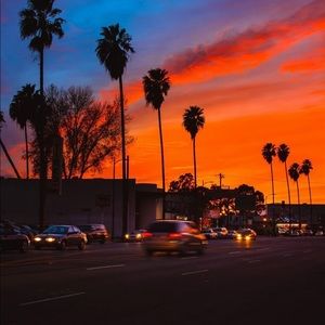 Meet your Posher, Gina